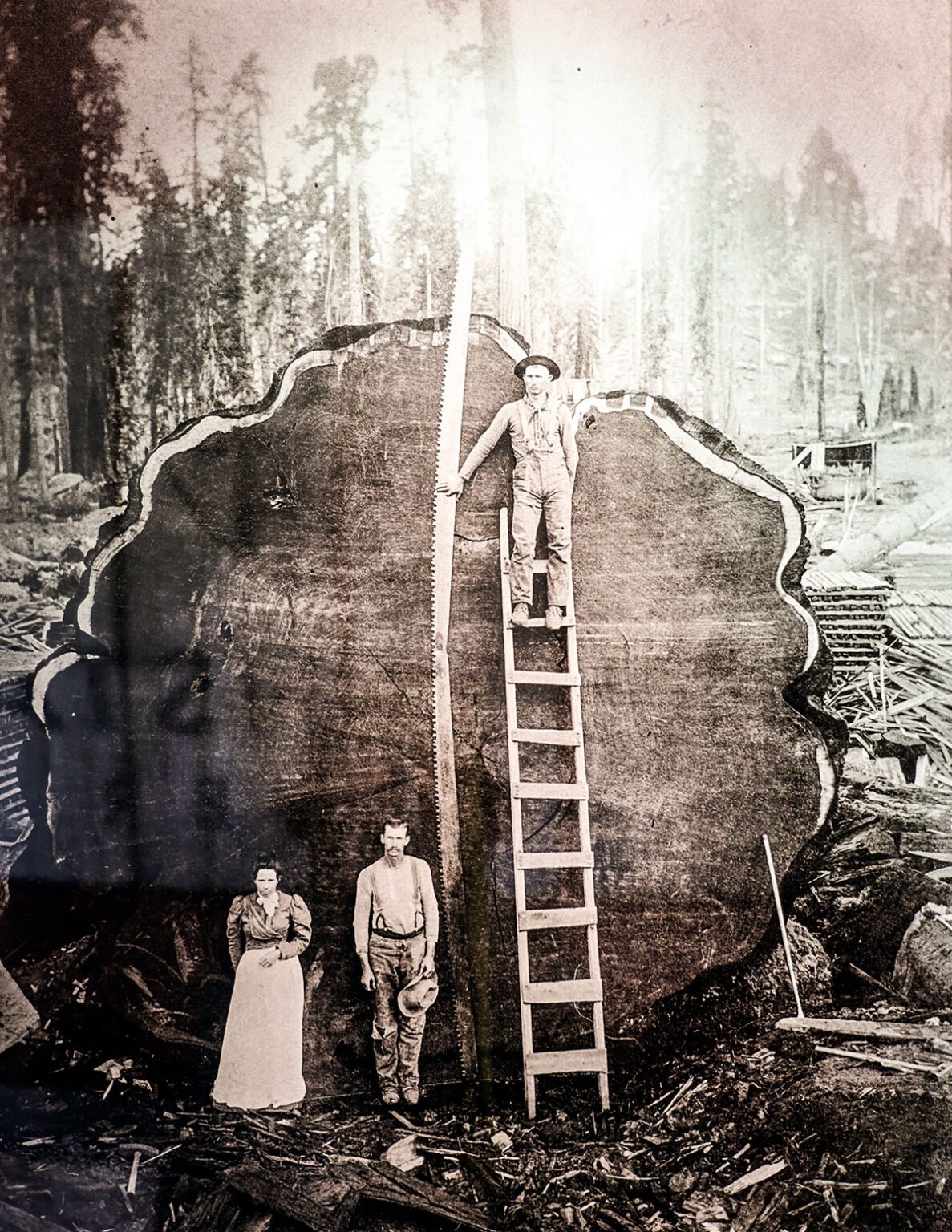 About Us Golden State Lumber