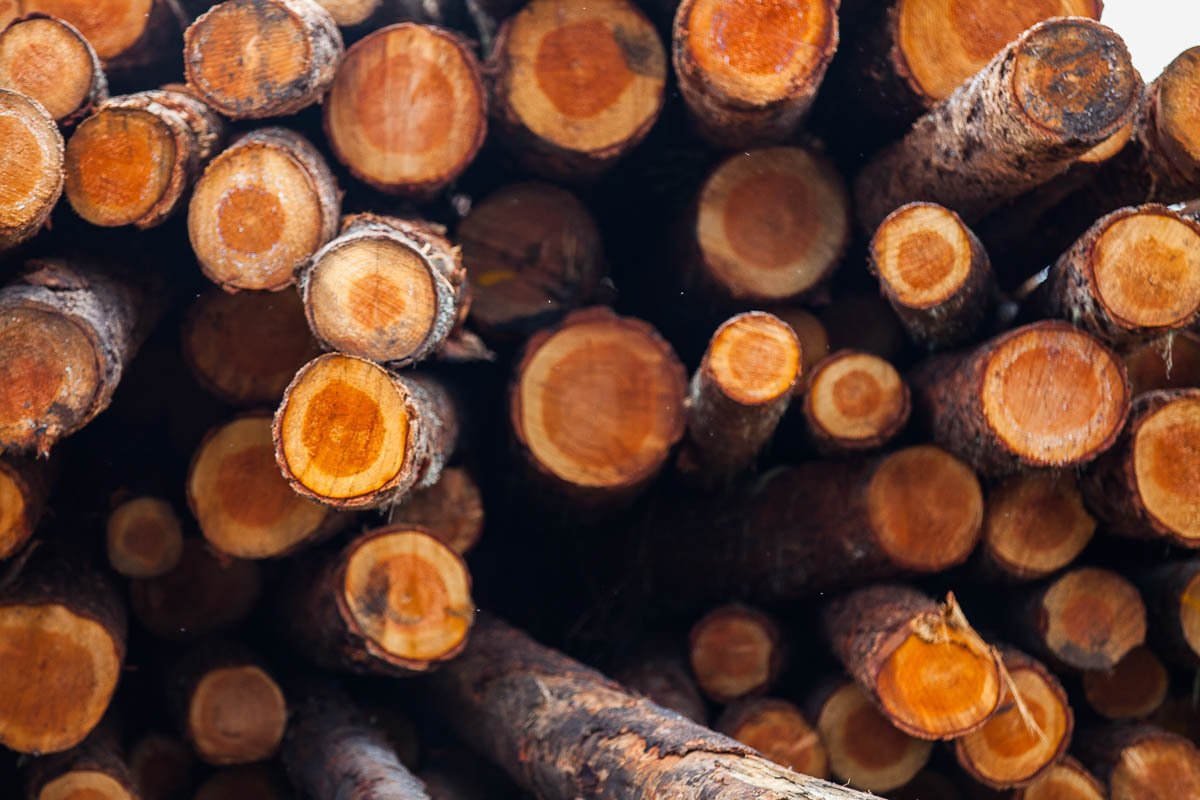 Closeup of the lumber ends