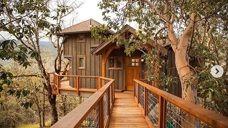 wild hog panels tree house walkway