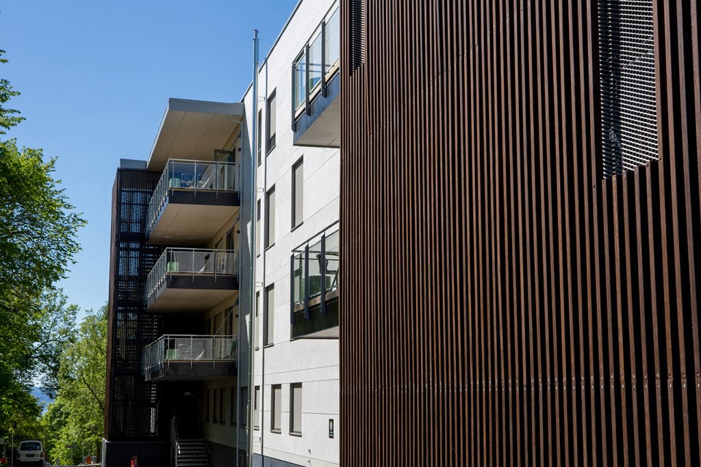 Moso Bamboo siding on residential apartments