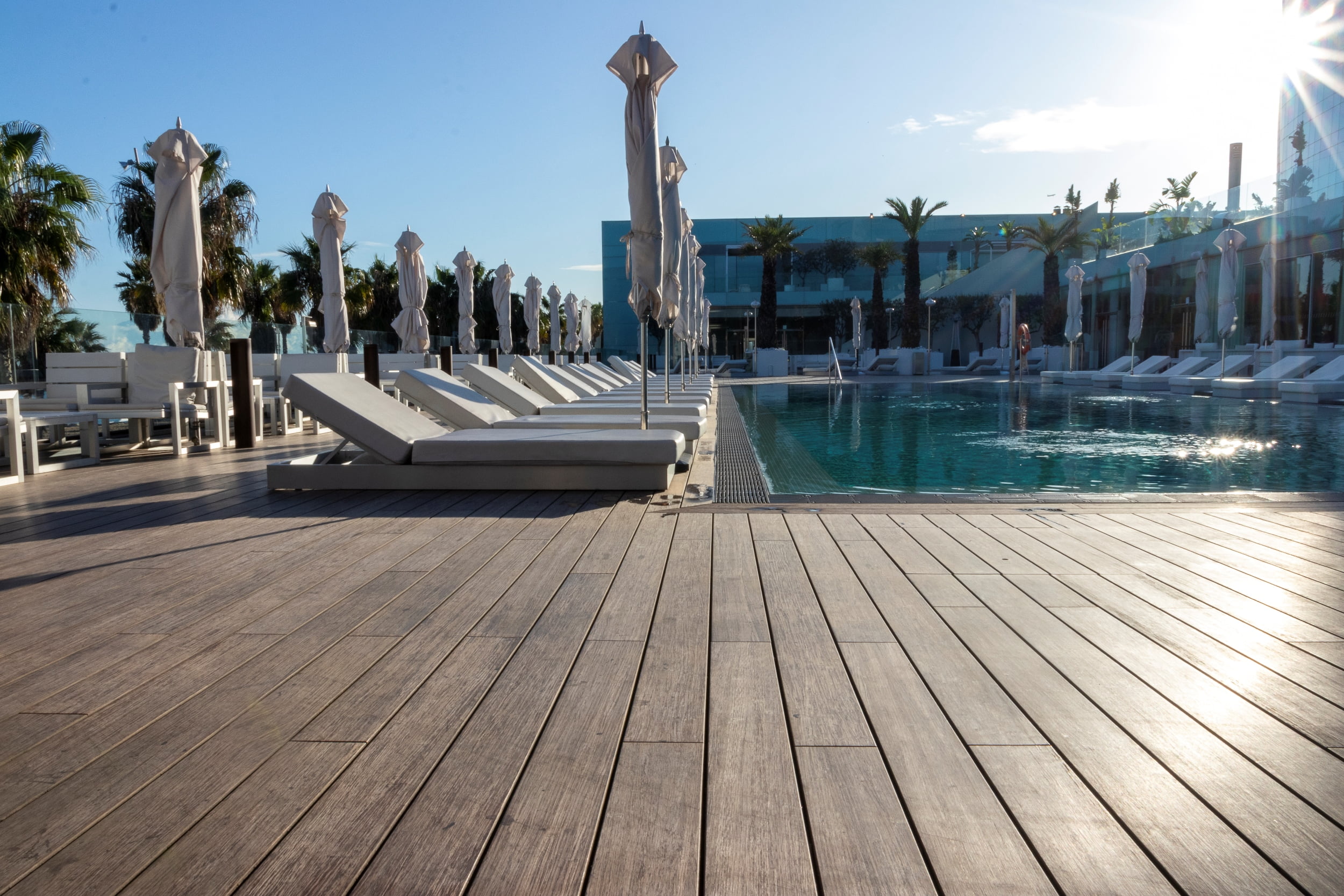 Moso Bamboo on resort pool deck
