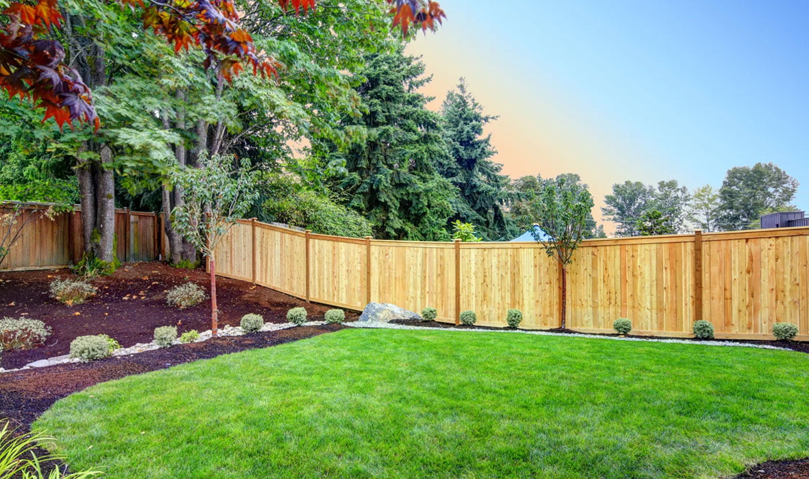 Cedar fence in backyard