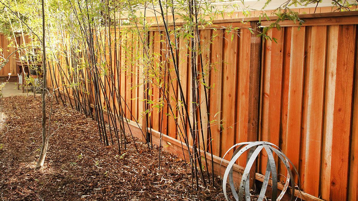 Humboldt Sawmill redwood backyard fence