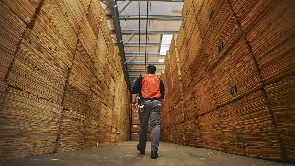 PWT staff walking through treated lumber stacks