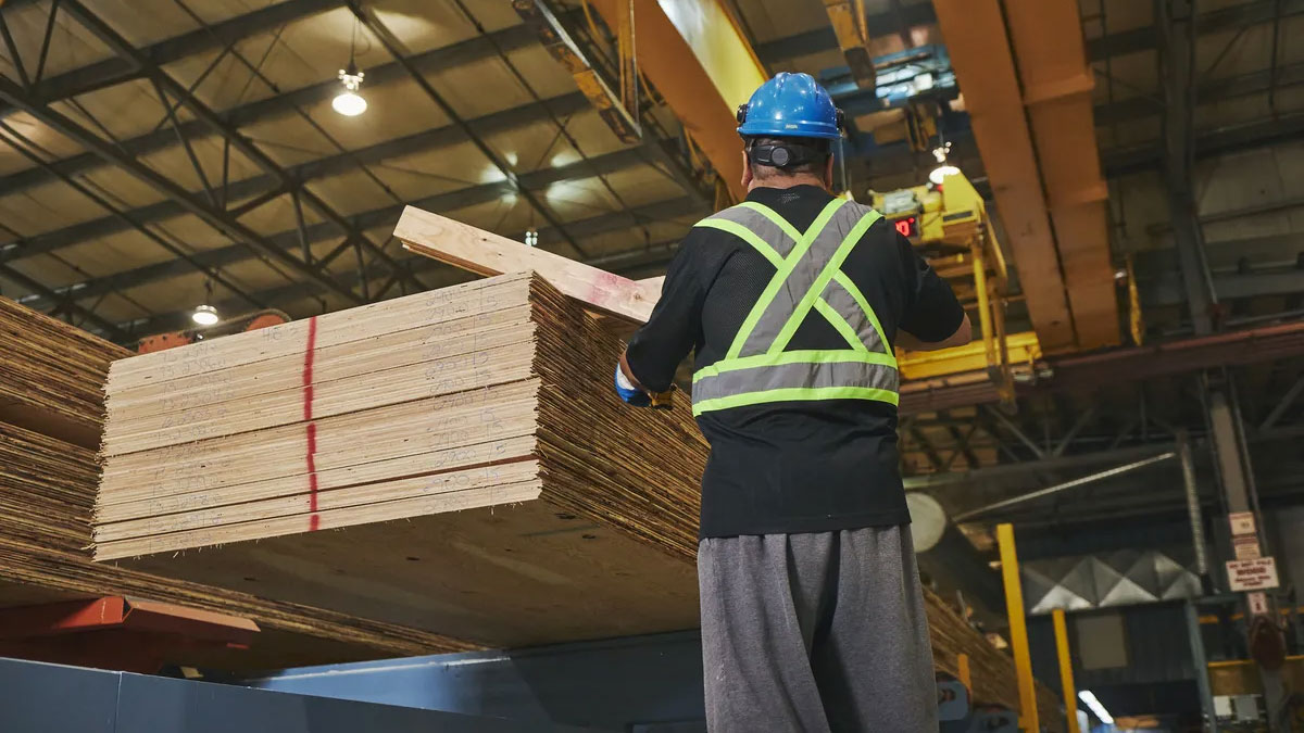 PWT worker stacks laminated veneer lumber