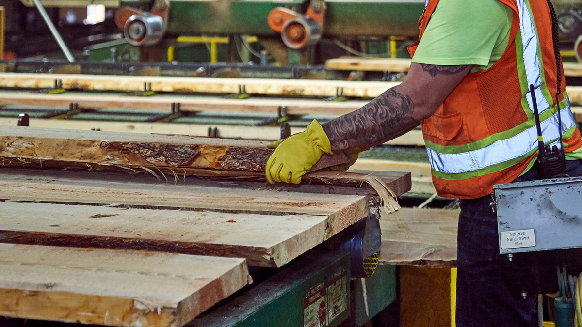 Rosboro staff working with lumber
