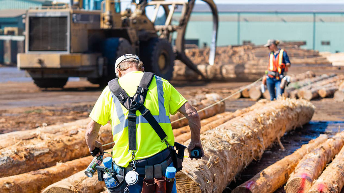 Two workers on the Socomi lumberyard moving South Coast Lumber