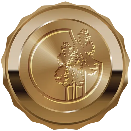Bronze badge