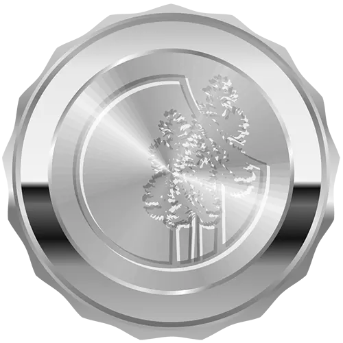 Silver badge